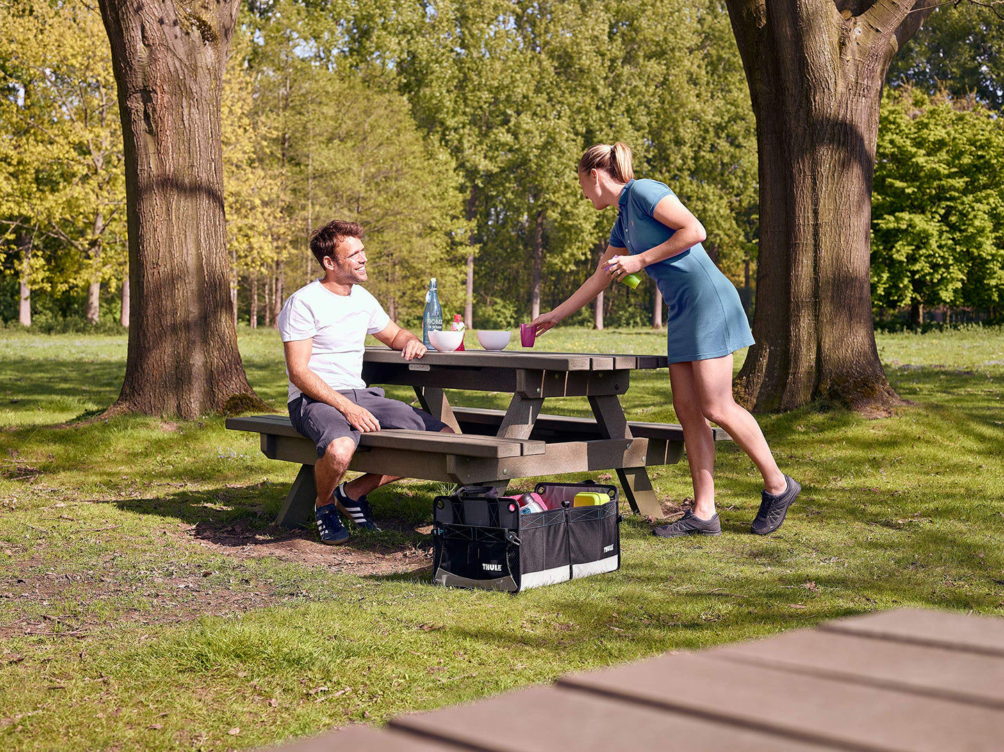 Thule Go Box Car Trunk Organizer