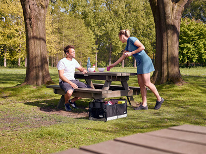Thule Go Box Car Trunk Organizer